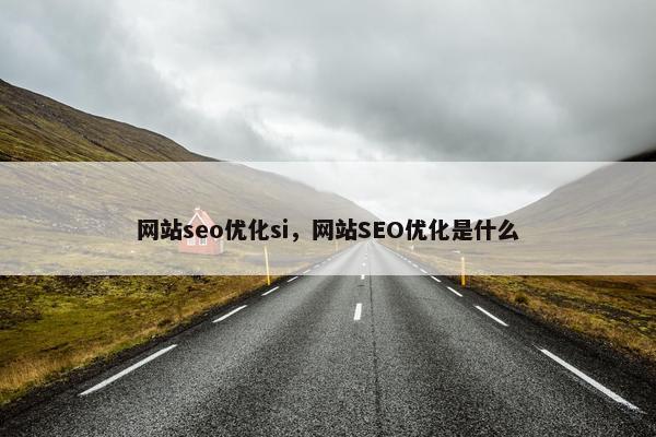 网站seo优化si，网站SEO优化是什么