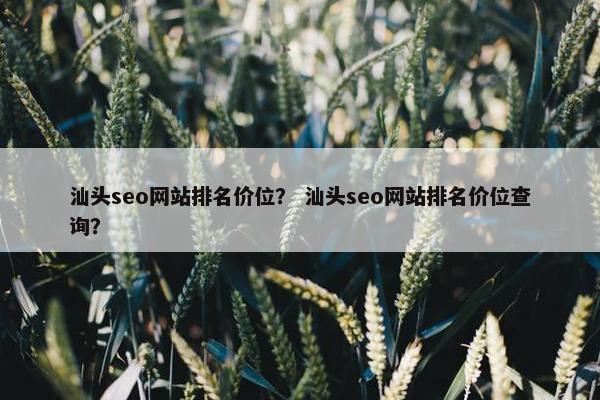 汕头seo网站排名价位？ 汕头seo网站排名价位查询？