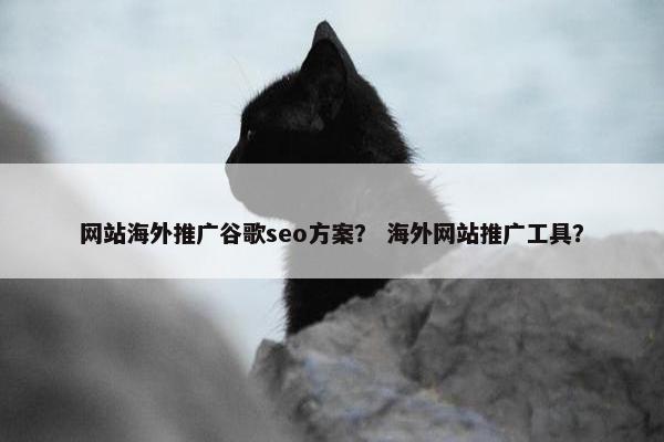 网站海外推广谷歌seo方案？ 海外网站推广工具？