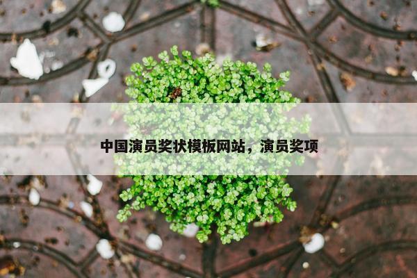 中国演员奖状模板网站，演员奖项