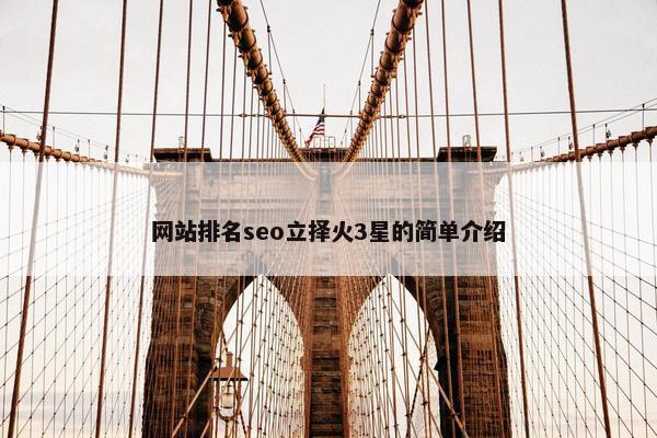 网站排名seo立择火3星的简单介绍