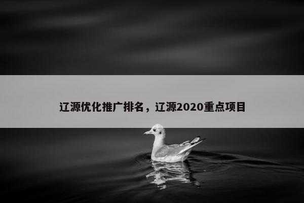 辽源优化推广排名，辽源2020重点项目