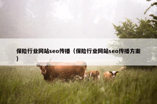 保险行业网站seo传播（保险行业网站seo传播方案）