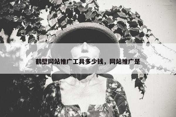 鹤壁网站推广工具多少钱，网站推广是