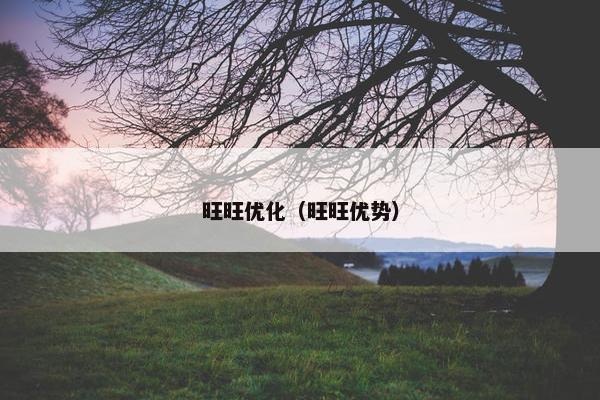 旺旺优化（旺旺优势）