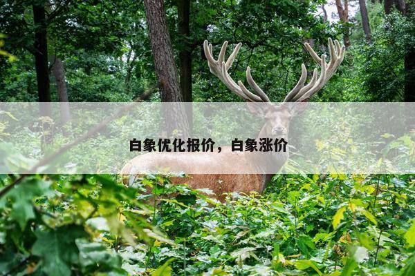 白象优化报价，白象涨价
