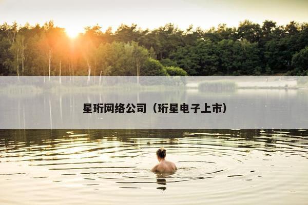 星珩网络公司（珩星电子上市）