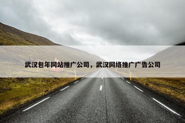 武汉包年网站推广公司，武汉网络推广广告公司