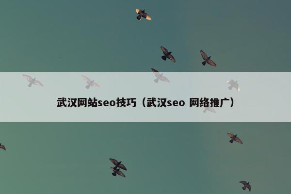 武汉网站seo技巧（武汉seo 网络推广）