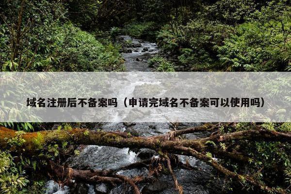域名注册后不备案吗（申请完域名不备案可以使用吗）