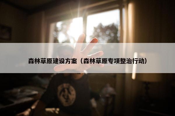森林草原建设方案（森林草原专项整治行动）
