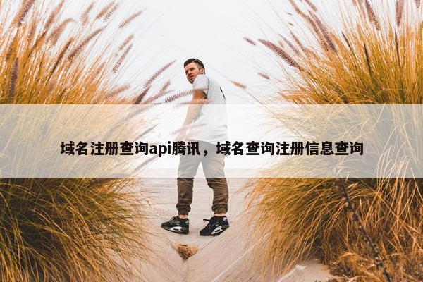 域名注册查询api腾讯，域名查询注册信息查询
