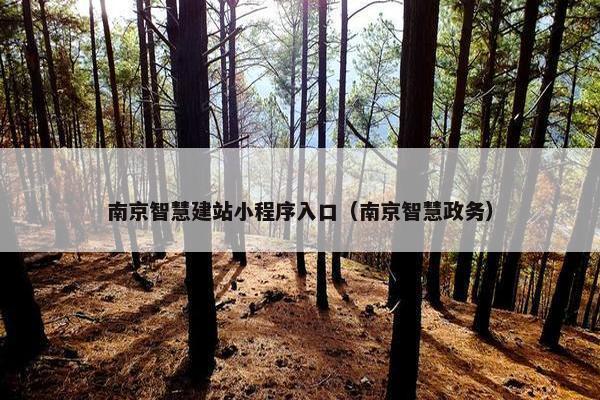 南京智慧建站小程序入口（南京智慧政务）