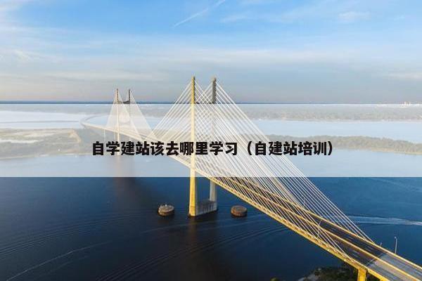 自学建站该去哪里学习（自建站培训）