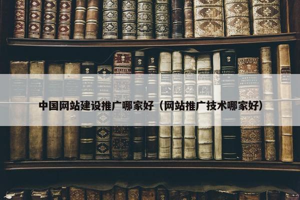 中国网站建设推广哪家好（网站推广技术哪家好）