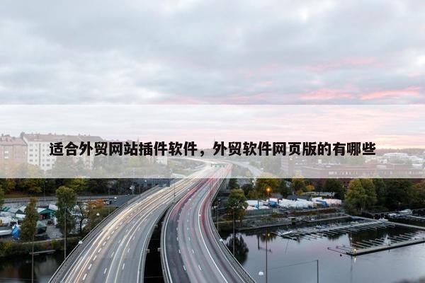适合外贸网站插件软件，外贸软件网页版的有哪些