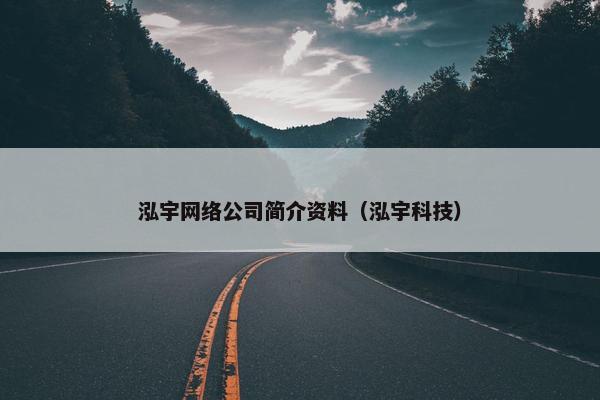 泓宇网络公司简介资料（泓宇科技）