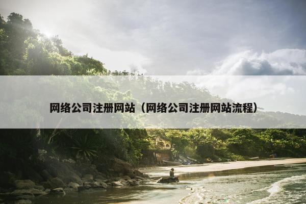 网络公司注册网站（网络公司注册网站流程）