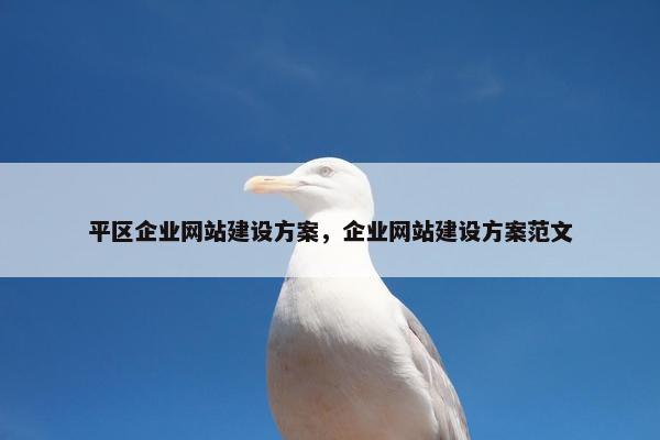 平区企业网站建设方案，企业网站建设方案范文