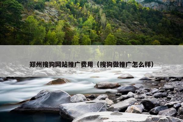 郑州搜狗网站推广费用（搜狗做推广怎么样）