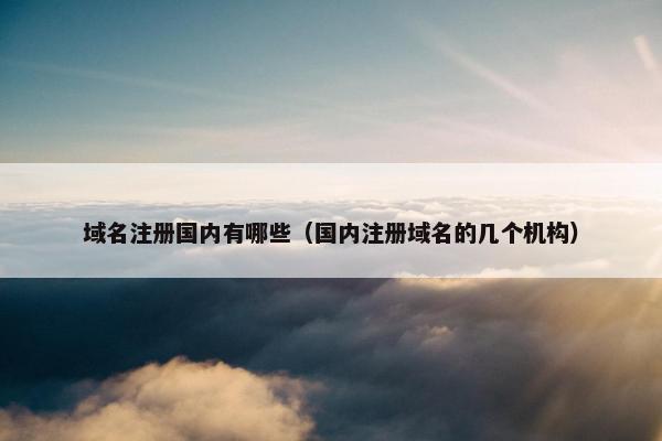 域名注册国内有哪些（国内注册域名的几个机构）
