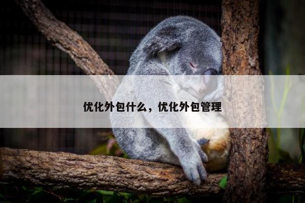 优化外包什么，优化外包管理
