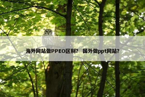 海外网站做PPEO区别？ 国外做ppt网站？