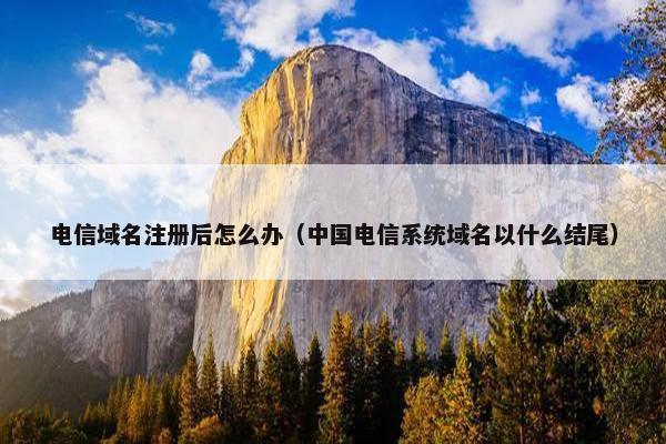 电信域名注册后怎么办（中国电信系统域名以什么结尾）