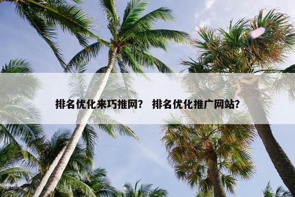 排名优化来巧推网？ 排名优化推广网站？