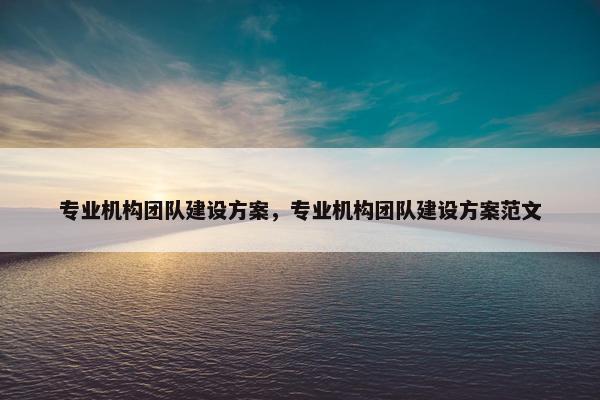 专业机构团队建设方案，专业机构团队建设方案范文