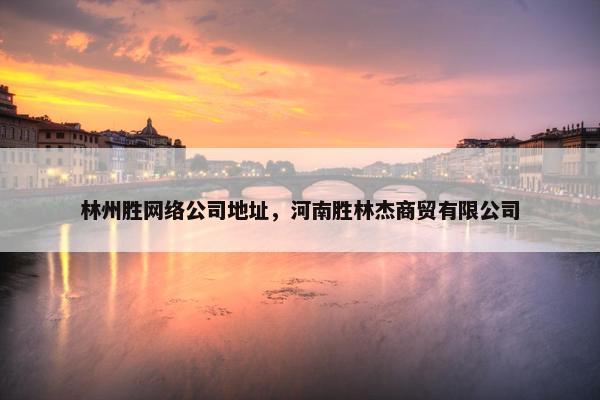 林州胜网络公司地址，河南胜林杰商贸有限公司