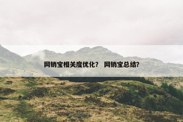 网销宝相关度优化？ 网销宝总结？