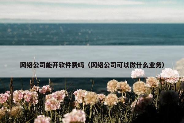 网络公司能开软件费吗（网络公司可以做什么业务）