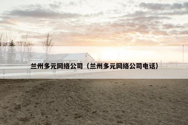 兰州多元网络公司（兰州多元网络公司电话）