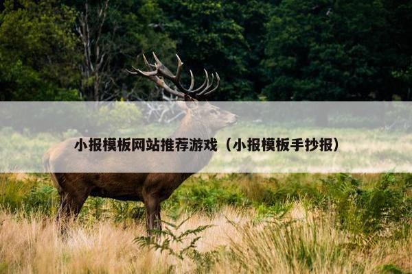 小报模板网站推荐游戏（小报模板手抄报）