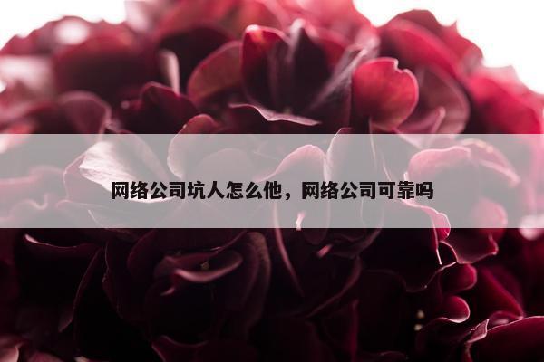 网络公司坑人怎么他，网络公司可靠吗