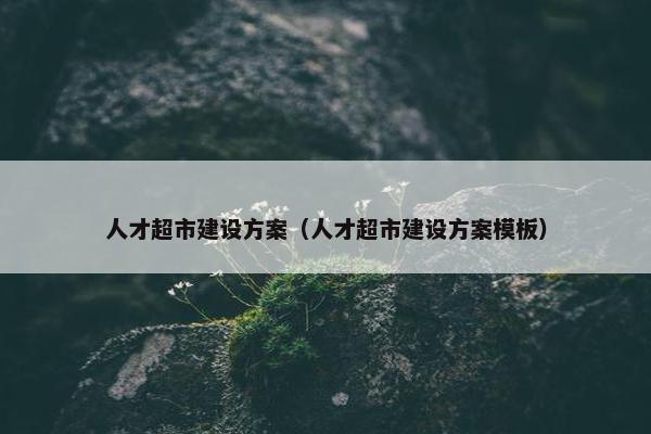 人才超市建设方案（人才超市建设方案模板）