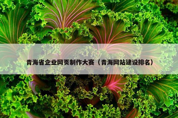 青海省企业网页制作大赛（青海网站建设排名）