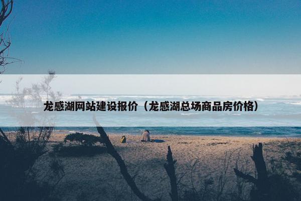 龙感湖网站建设报价（龙感湖总场商品房价格）