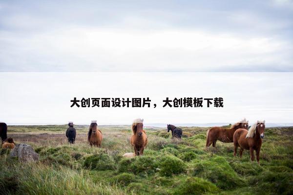 大创页面设计图片，大创模板下载