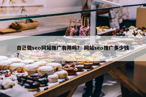 自己做seo网站推广有用吗？ 网站seo推广多少钱？