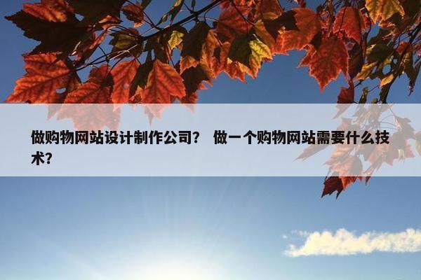做购物网站设计制作公司？ 做一个购物网站需要什么技术？