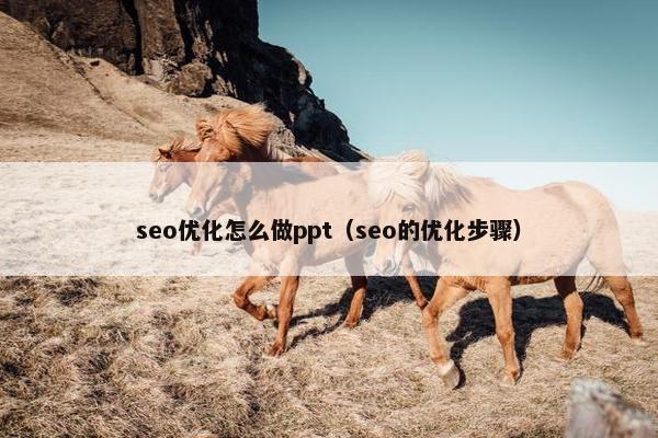 seo优化怎么做ppt（seo的优化步骤）