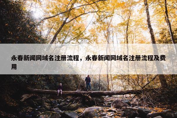 永春新闻网域名注册流程，永春新闻网域名注册流程及费用