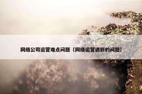 网络公司运营难点问题（网络运营遇到的问题）