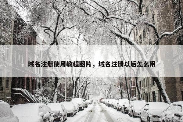 域名注册使用教程图片，域名注册以后怎么用