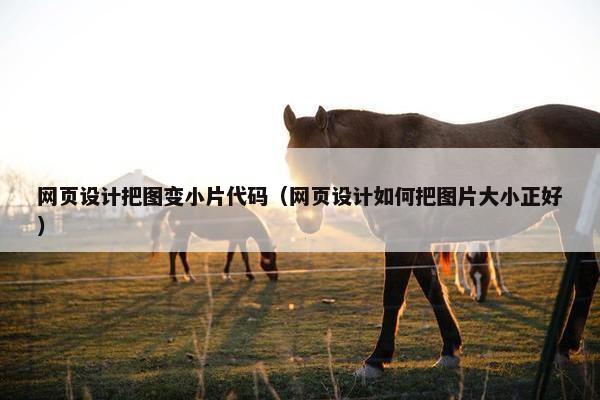 网页设计把图变小片代码（网页设计如何把图片大小正好）