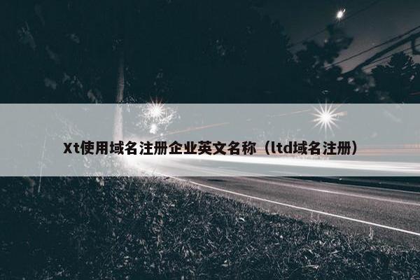 Xt使用域名注册企业英文名称（ltd域名注册）
