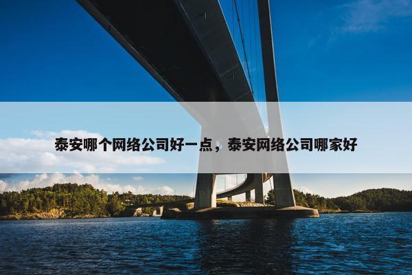泰安哪个网络公司好一点，泰安网络公司哪家好