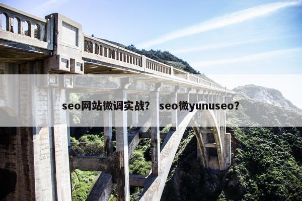 seo网站微调实战？ seo微yunuseo？